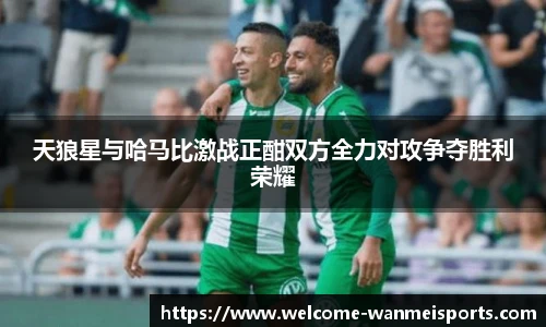 完美体育下载