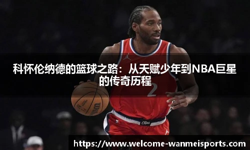 完美体育